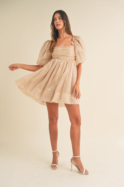 Cordovalle Shiny Organza Dress
