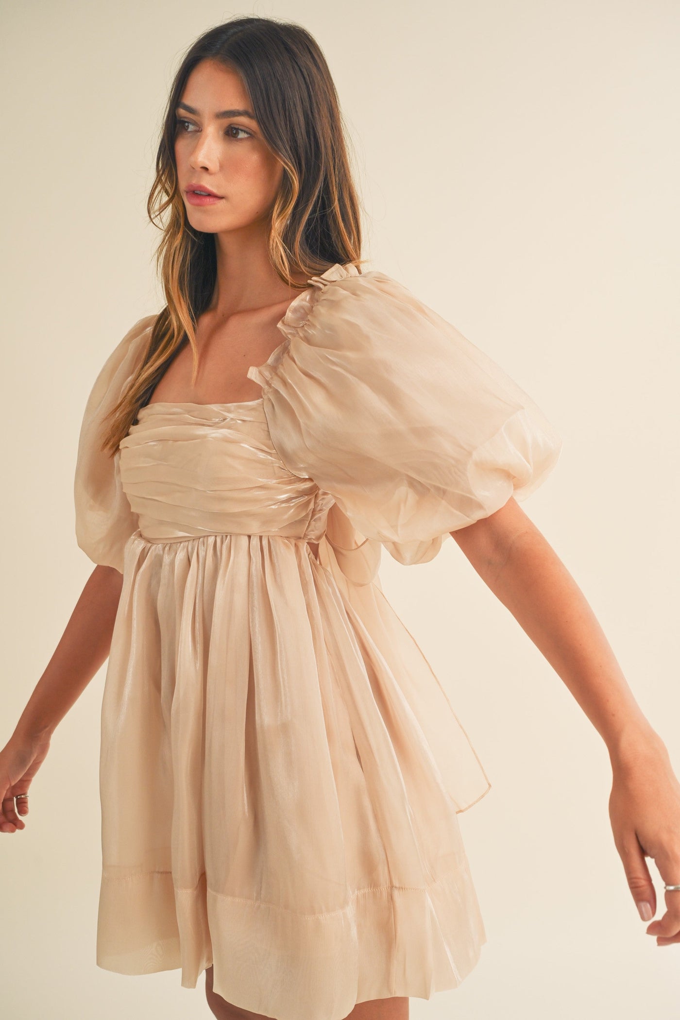 Cordovalle Shiny Organza Dress