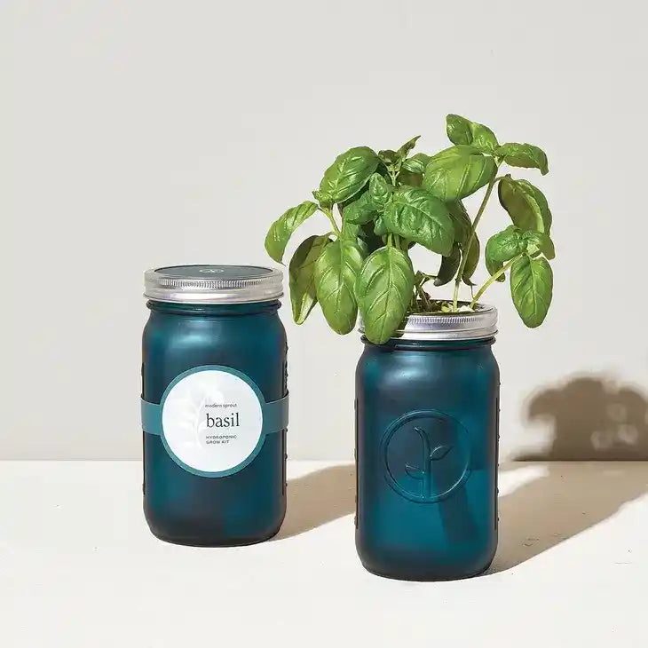 Basil Garden Jar