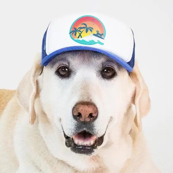 Surfer Dog Trucker Hat for Dogs