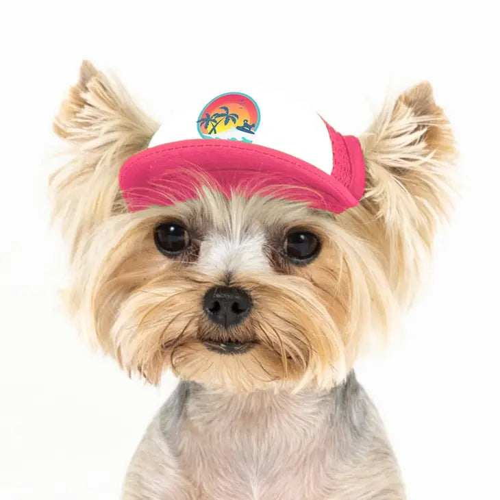 Surfer Dog Trucker Hat for Dogs
