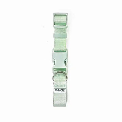 Amore Dog Collar in Mint Green