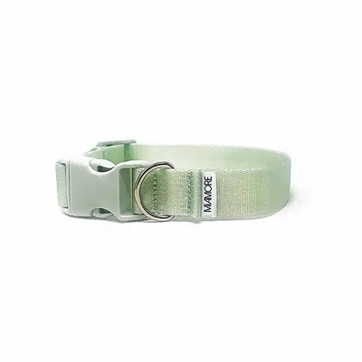 Amore Dog Collar in Mint Green