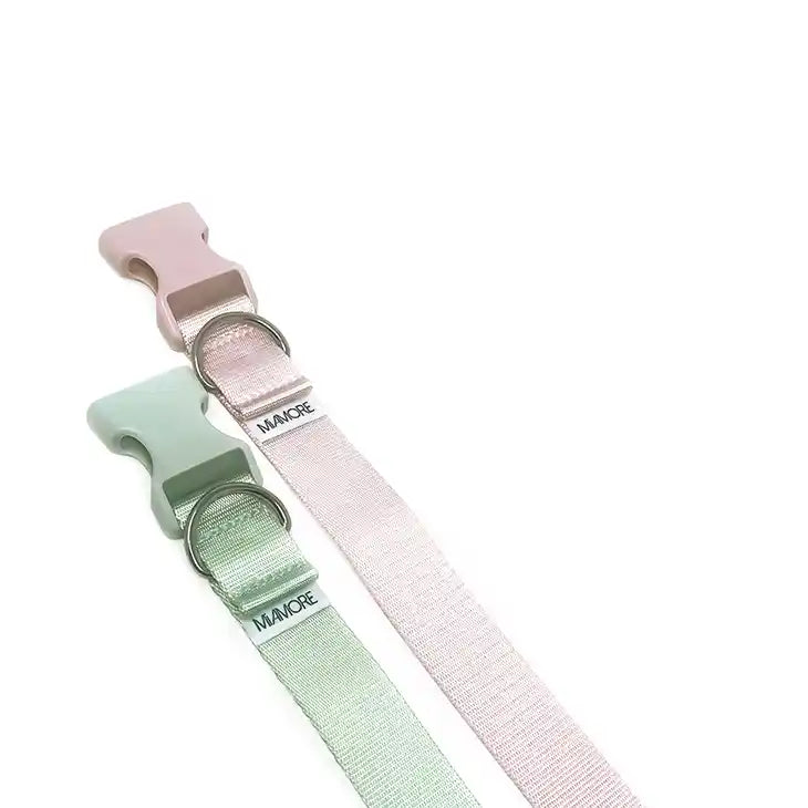 Amore Dog Collar in Mint Green