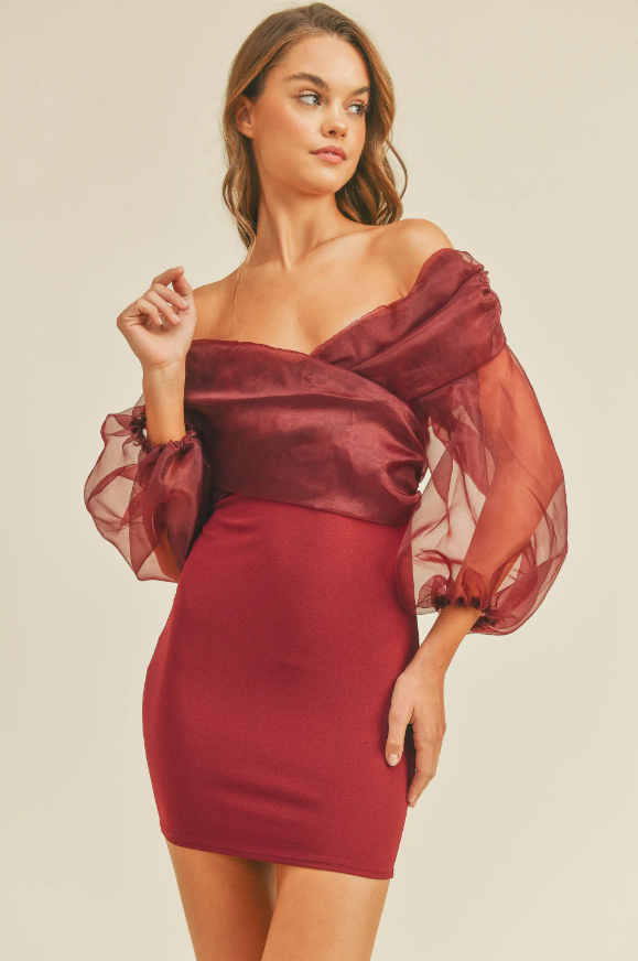 Tulle de France Organza Dress
