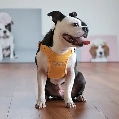 Comfort Dog Harness