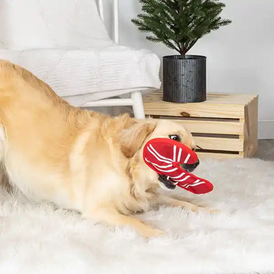 Durable Candy Cane Dog Toy