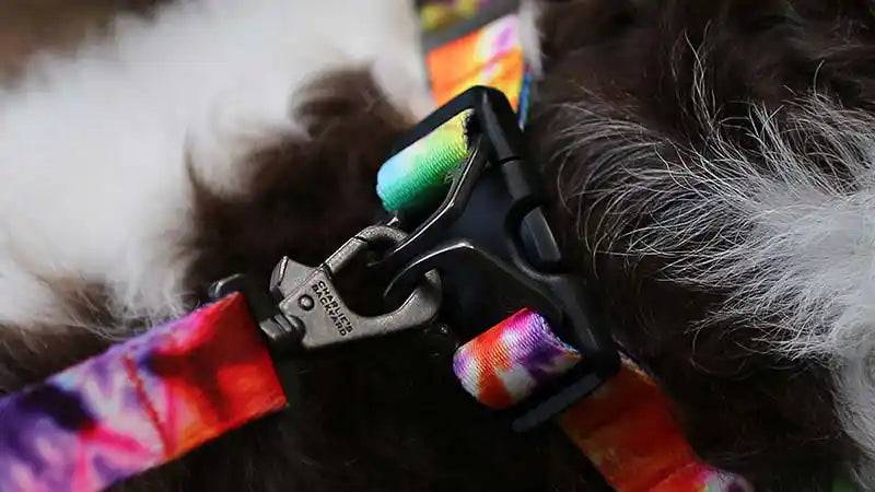 Hands-Free Rover Dog Leash