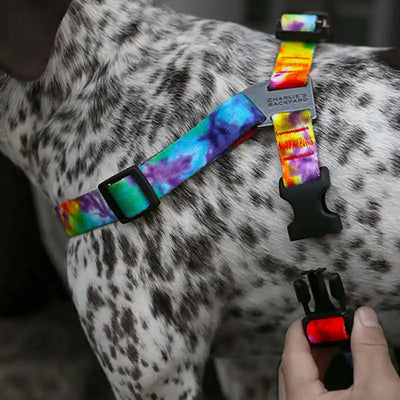 Rover Dog Harness