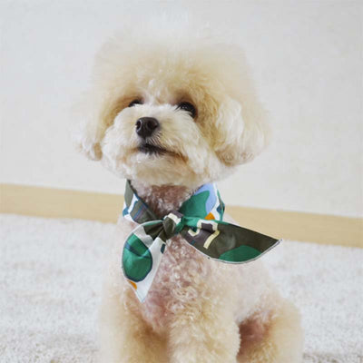 Twilly Scarf for Dogs / Cats - Green