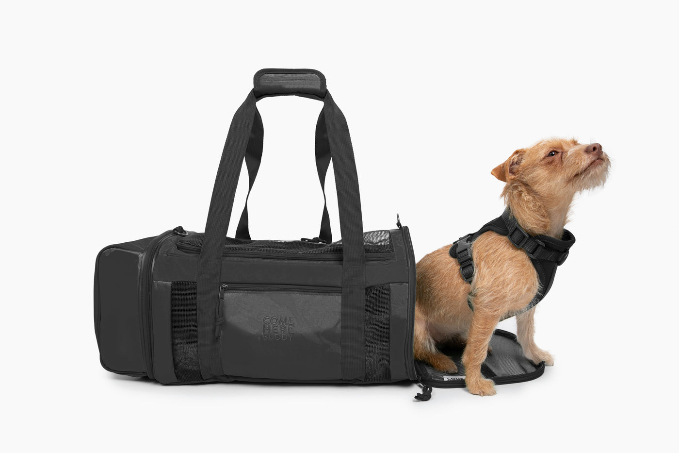 Travel Buddy - Pet Carrier