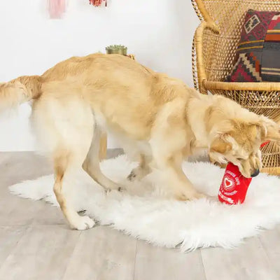 Hot Stuff Dog Toy