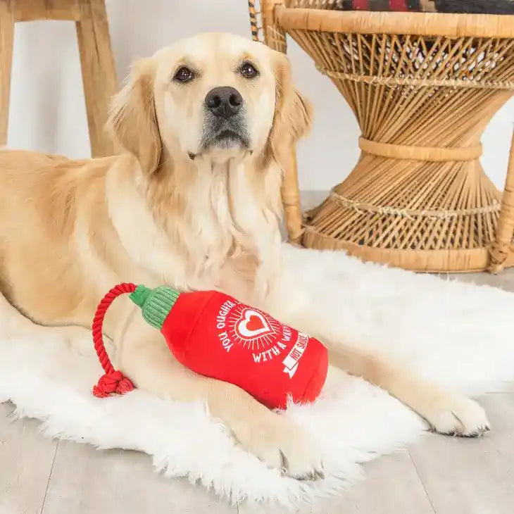 Hot Stuff Dog Toy