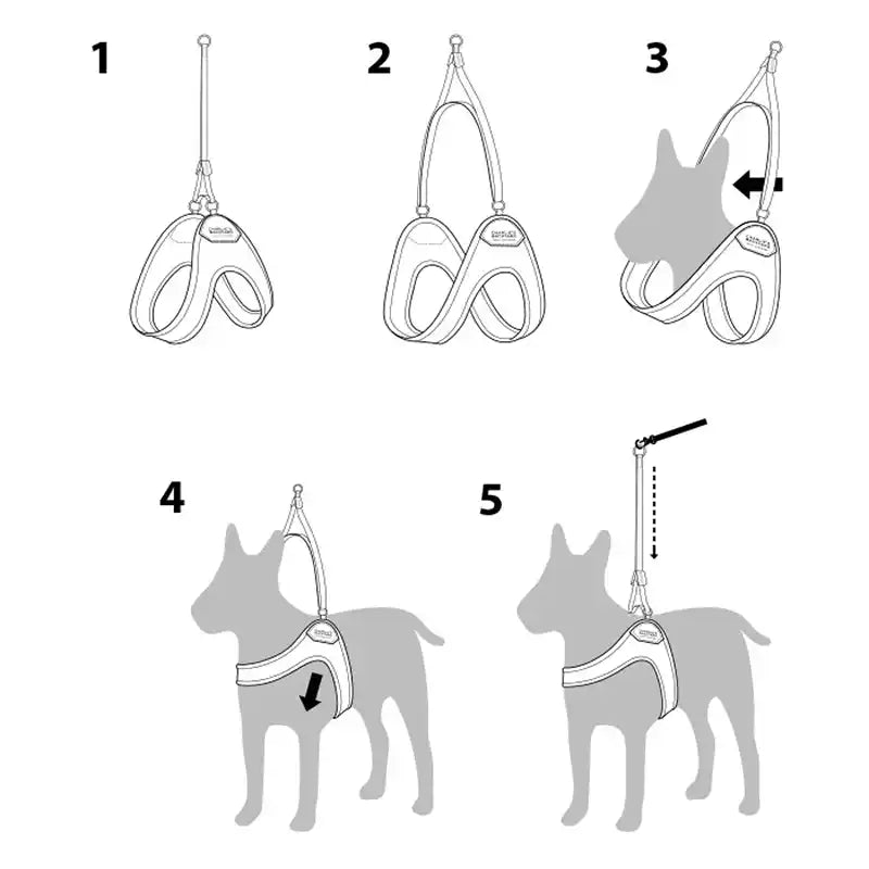 Easy Adjustable Dog Harness