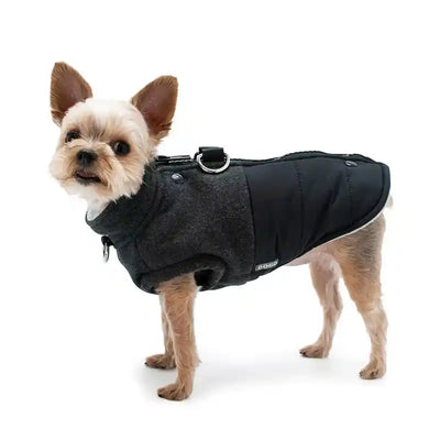 Midtown Runner Dog Coat