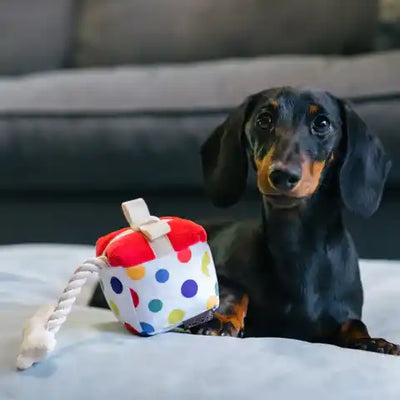 Pawfect Present Mini Dog Toy