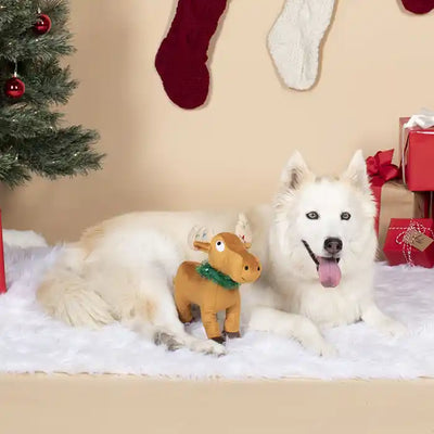 Merry Chris-Moose Squeaky Dog Toy