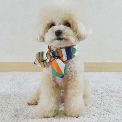Twilly Scarf for Dogs / Cats - Orange