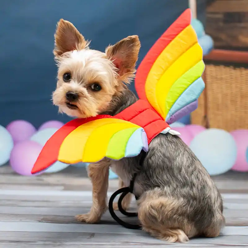 Rainbow Wings Pet Costume