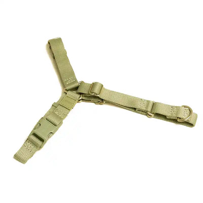 Roam Harness