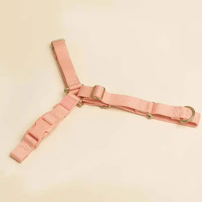 Roam Harness
