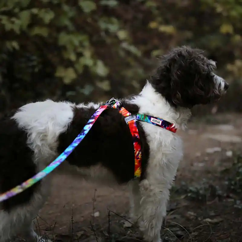 Rover Dog Harness