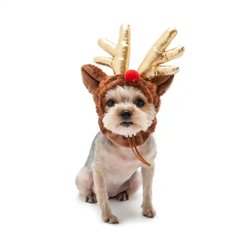 Rudolph Reindeer Hat for Dogs / Cats