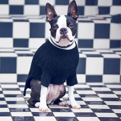 The Rufus Cashmere Turtleneck Pet Sweater - Black