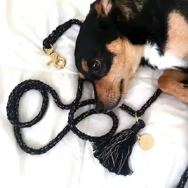 Satellite Rope Dog Leash