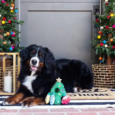 Christmas Tree Burrow Dog Toy