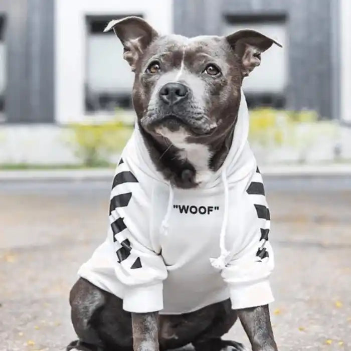 "WOOF" Dog Hoodie - White